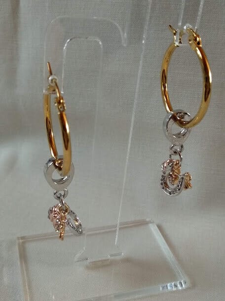 Pendientes de aro en acero dorado con colgante intercambiable Nuevos (106)