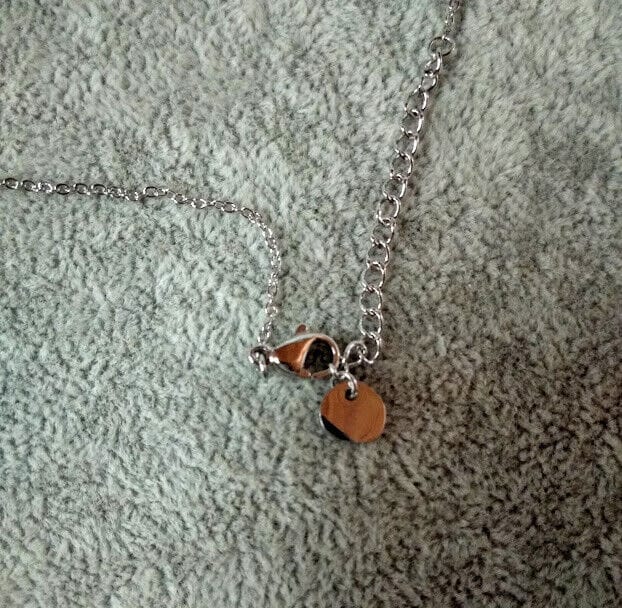 Collar gargantilla  acero antialergico con colgante hojas Nuevos (106) - Imagen 4